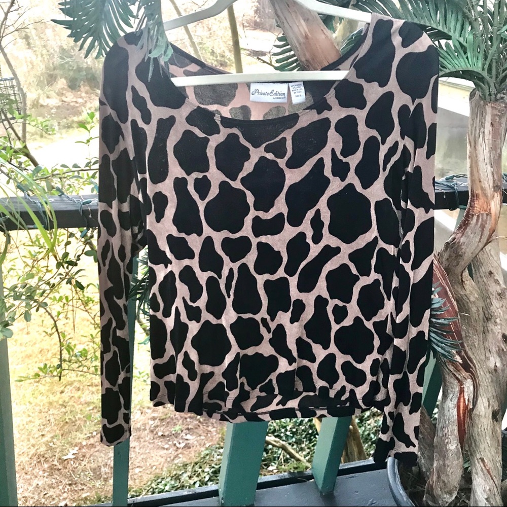 Leopard Print Top from Private Collection Chico’s